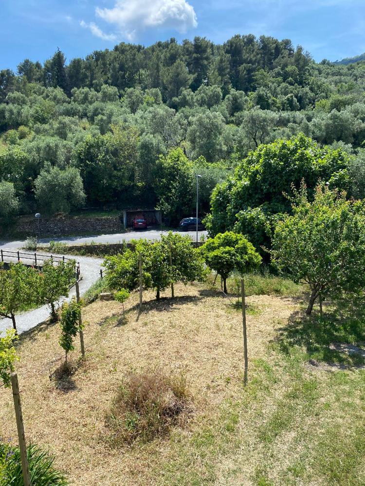 Appartamento Andora Tra Gli Ulivi Molino Nuovo  ภายนอก รูปภาพ